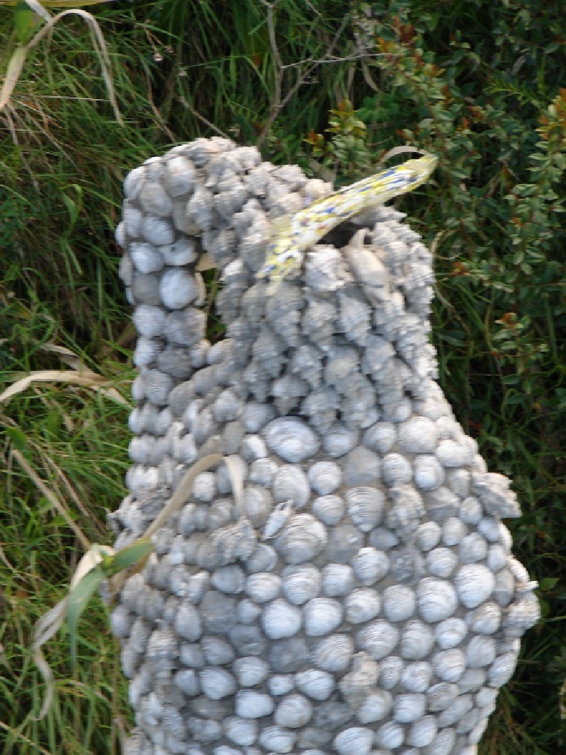 2008/03(March)/AroundTheWorld/Isle of Capri/800x600_vase made from shells.jpg